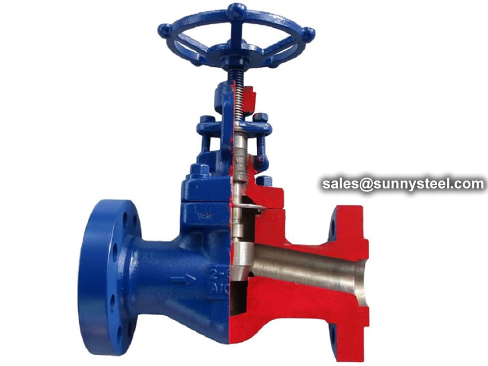 Globe Valve