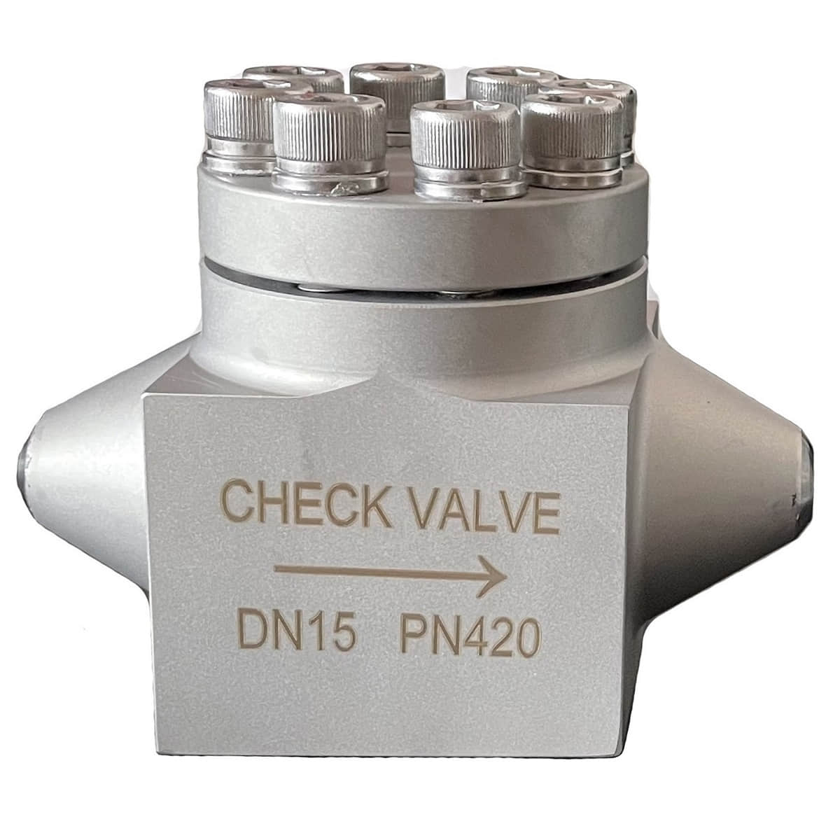 CNG LNG Cryogenic Check Valve