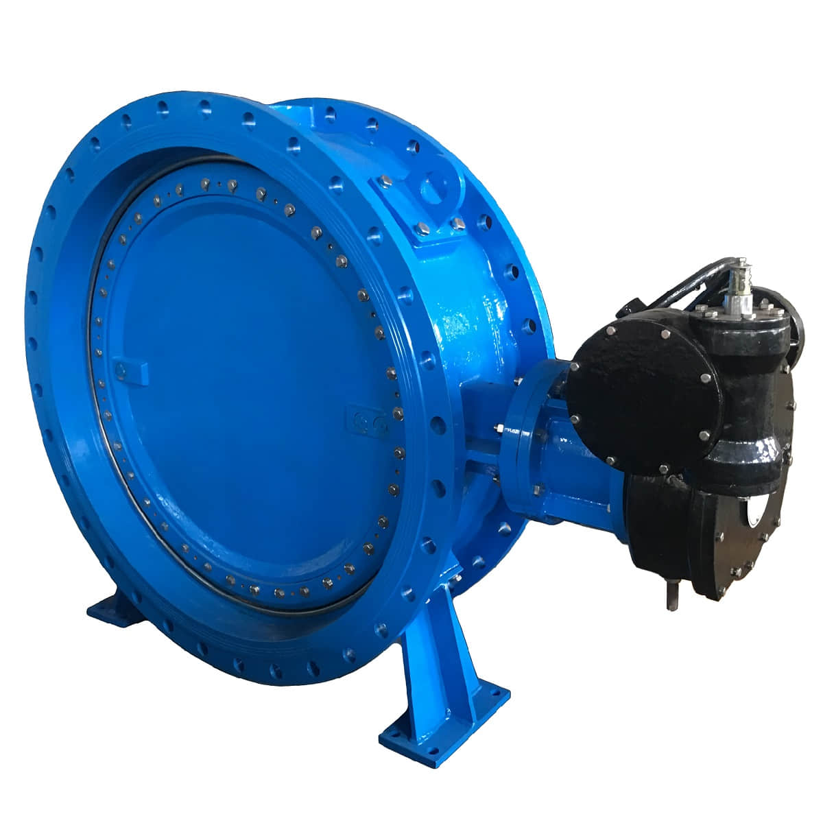 Double Offset Soft Seated Butterfly Valve