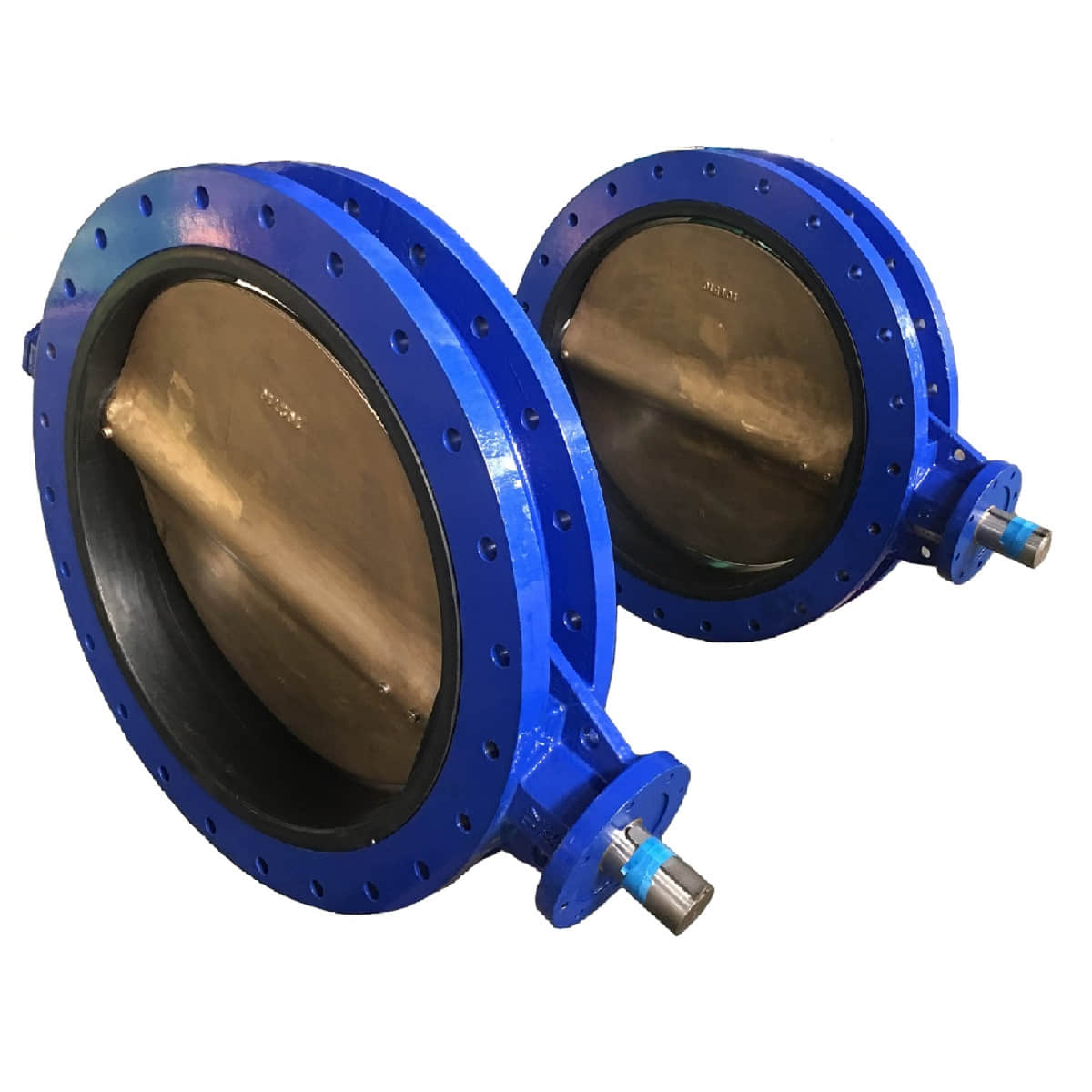 Marine Wafer Flange Butterfly Valve