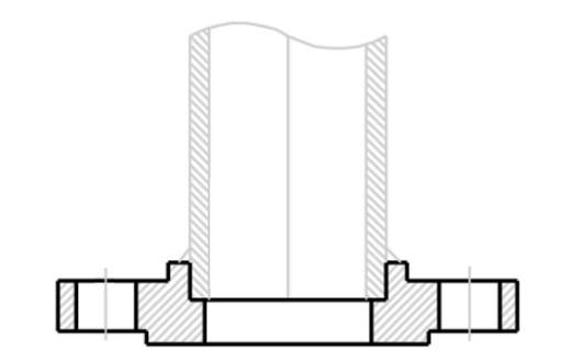 Blind flange det