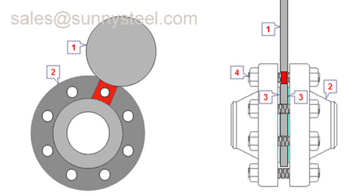 Spectacle blind flange